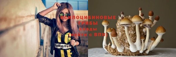ГАЛЛЮЦИНОГЕННЫЕ ГРИБЫ Навашино