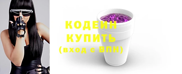 хмурый Михайловск