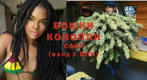 ГАЛЛЮЦИНОГЕННЫЕ ГРИБЫ Навашино