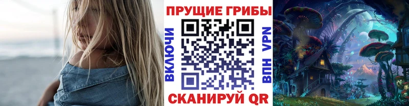 Псилоцибиновые грибы MAGIC MUSHROOMS  это наркотические препараты  Олонец 
