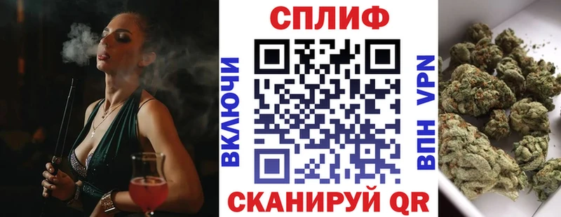 где купить наркотик  Олонец  МАРИХУАНА тримм 
